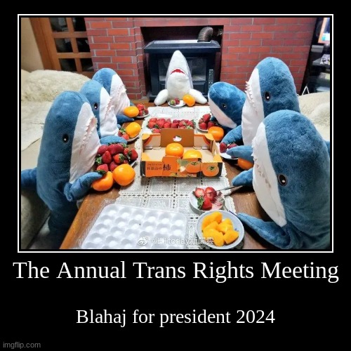 The Annual Trans Rights Meeting | Blahaj for president 2024 | image tagged in funny,demotivationals,lgbtq | made w/ Imgflip demotivational maker