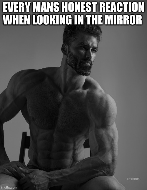 Giga Chad | EVERY MANS HONEST REACTION WHEN LOOKING IN THE MIRROR | image tagged in giga chad | made w/ Imgflip meme maker