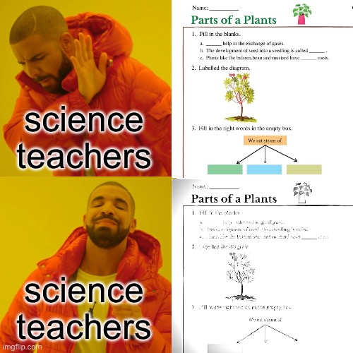 Drake Hotline Bling | science teachers; science teachers | image tagged in memes,drake hotline bling | made w/ Imgflip meme maker