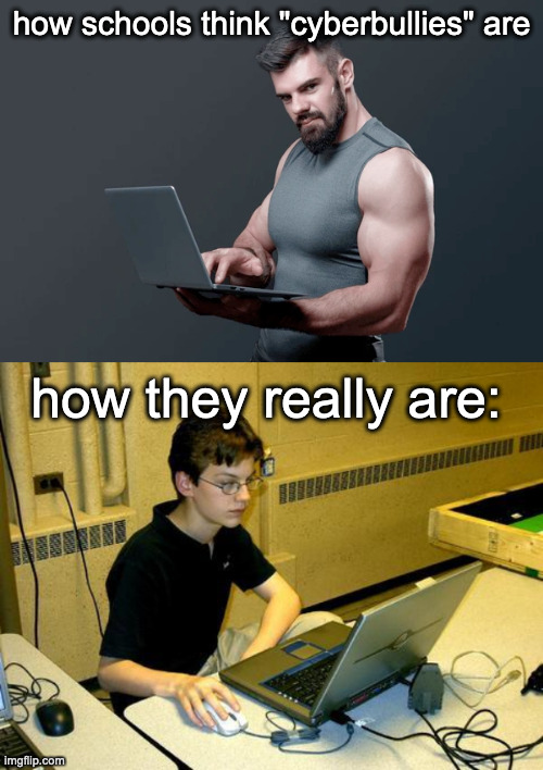 fr | how schools think "cyberbullies" are; how they really are: | made w/ Imgflip meme maker