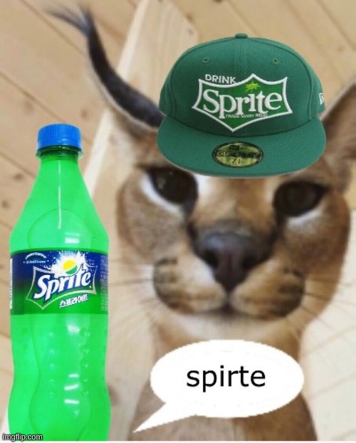 can someone remove the background, because all the background removers removes the cat and i want the cat | image tagged in sprite,transparent,floppa | made w/ Imgflip meme maker