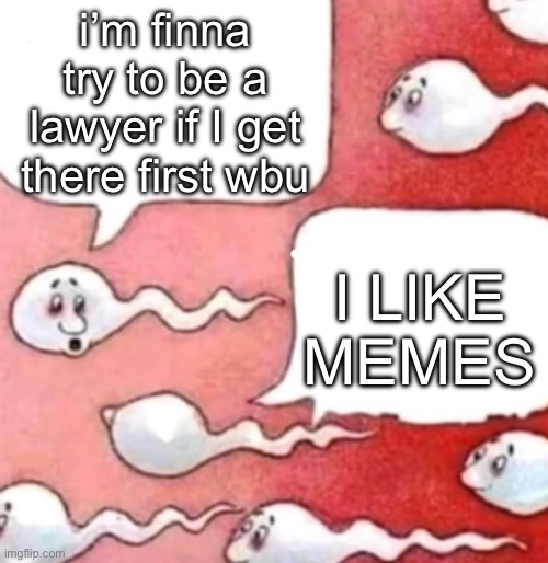 Sperm conversation | i’m finna try to be a lawyer if I get there first wbu; I LIKE MEMES | image tagged in sperm conversation | made w/ Imgflip meme maker
