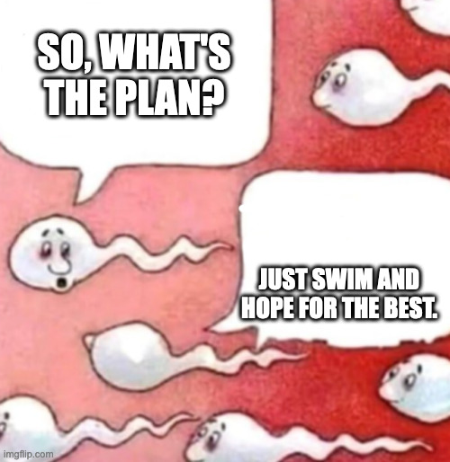 ai generated text | SO, WHAT'S THE PLAN? JUST SWIM AND HOPE FOR THE BEST. | image tagged in sperm conversation | made w/ Imgflip meme maker