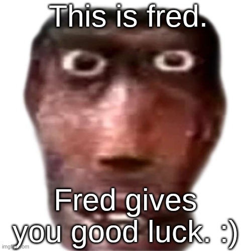 F r e d | This is fred. Fred gives you good luck. :) | image tagged in good luck | made w/ Imgflip meme maker