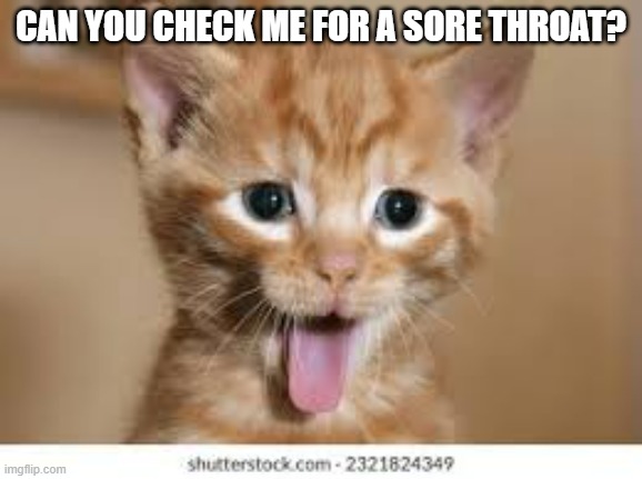 meme by Brad cat with sore throat | CAN YOU CHECK ME FOR A SORE THROAT? | image tagged in cats,funny cat,funny cat memes,humor,funny meme | made w/ Imgflip meme maker