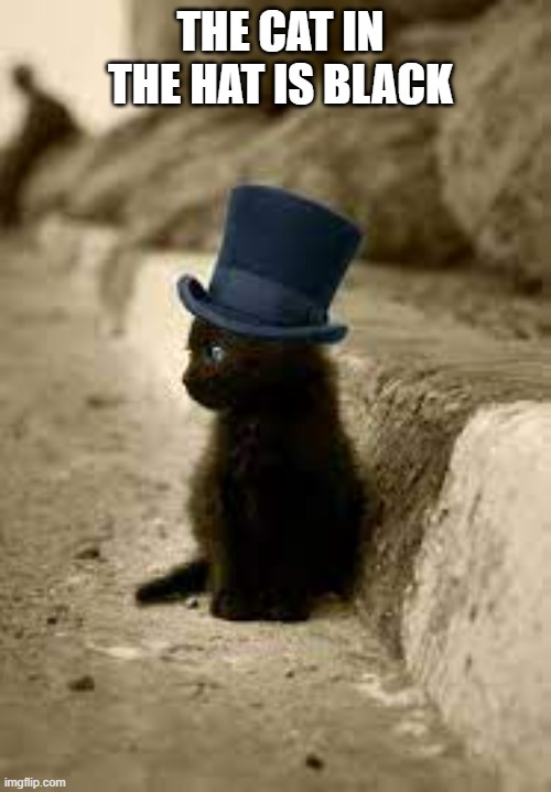 meme by Brad the cat in the hat is black | THE CAT IN THE HAT IS BLACK | image tagged in cats,funny cat,funny cat memes,humor,funny meme | made w/ Imgflip meme maker