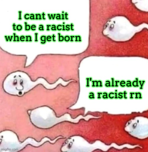 Sperm conversation | I cant wait to be a racist when I get born; I'm already a racist rn | image tagged in sperm conversation | made w/ Imgflip meme maker