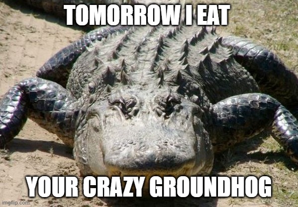 Alligators r funny | TOMORROW I EAT; YOUR CRAZY GROUNDHOG | image tagged in alligators r funny | made w/ Imgflip meme maker