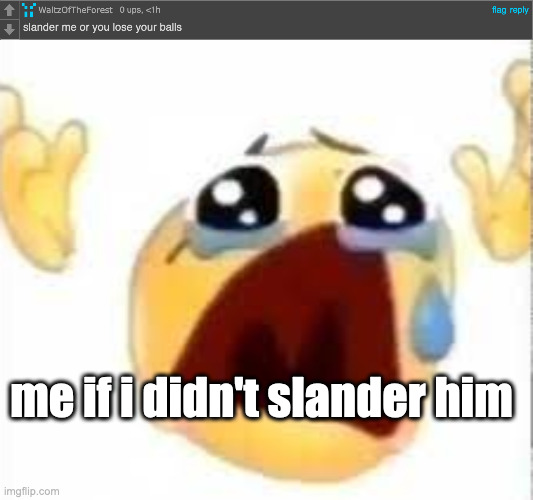 msmg user slander #23 | me if i didn't slander him | image tagged in crying emoji | made w/ Imgflip meme maker