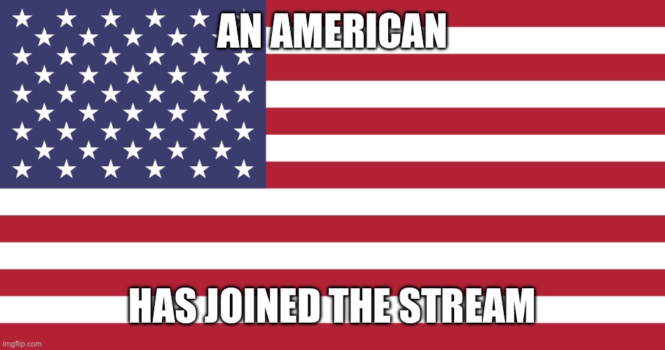 American Flag | AN AMERICAN; HAS JOINED THE STREAM | image tagged in american flag,america,american,americans,you have been eternally cursed for reading the tags,lmao | made w/ Imgflip meme maker