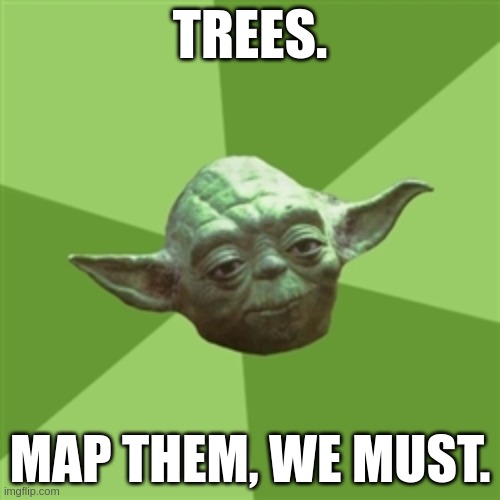 Advice Yoda Meme | TREES. MAP THEM, WE MUST. | image tagged in memes,advice yoda | made w/ Imgflip meme maker