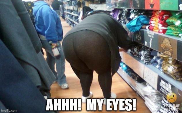 Fat Yoga Pants | AHHH!  MY EYES! | image tagged in fat yoga pants | made w/ Imgflip meme maker