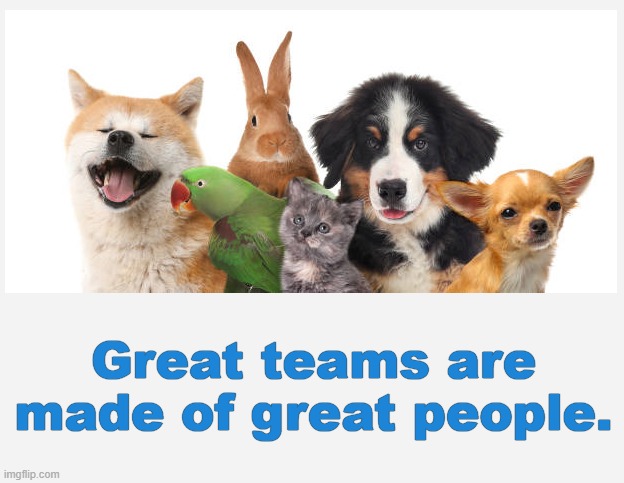 Great teams are made of great people. | Great teams are made of great people. | image tagged in pets,mix of pets,team,teamwork,difference | made w/ Imgflip meme maker