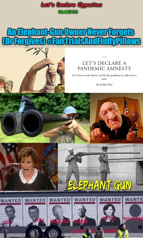 Let's Declare Opposites | Let's Declare Opposites; OzwinEVCG; An Elephant-Gun Owner Never Forgets 

(Or Forgives) #FairTrialsAndFluffyPillows | image tagged in no covid amnesty,crime and punishment,covid tyranny,crimes against humanity,covid tribunals,world occupied | made w/ Imgflip meme maker
