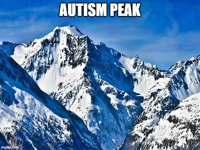 Mountain  | AUTISM PEAK | image tagged in mountain | made w/ Imgflip meme maker