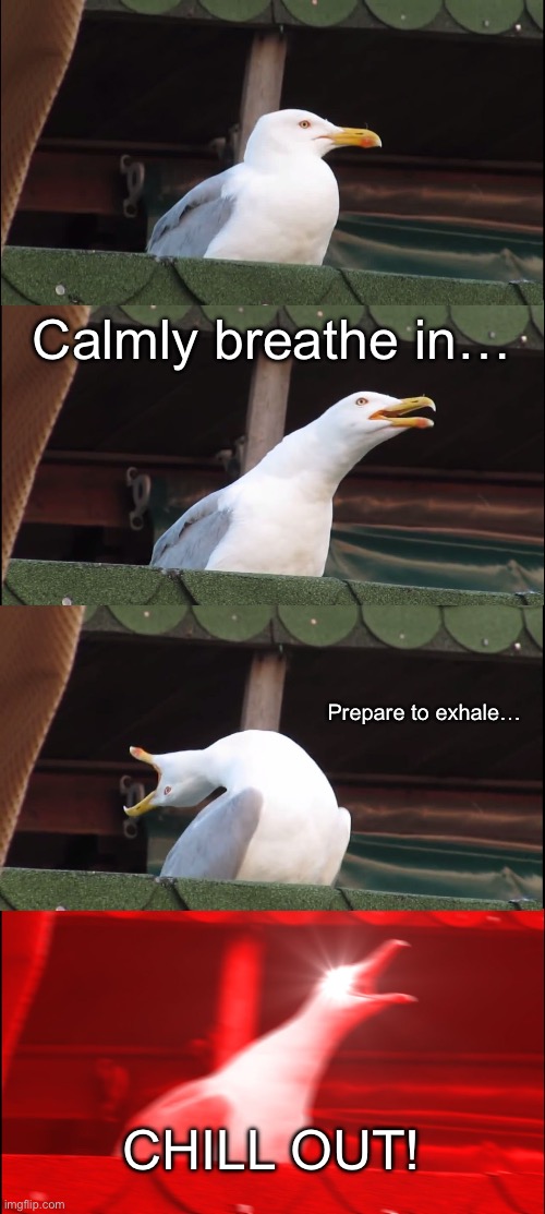 Inhaling Seagull | Calmly breathe in…; Prepare to exhale…; CHILL OUT! | image tagged in memes,inhaling seagull | made w/ Imgflip meme maker