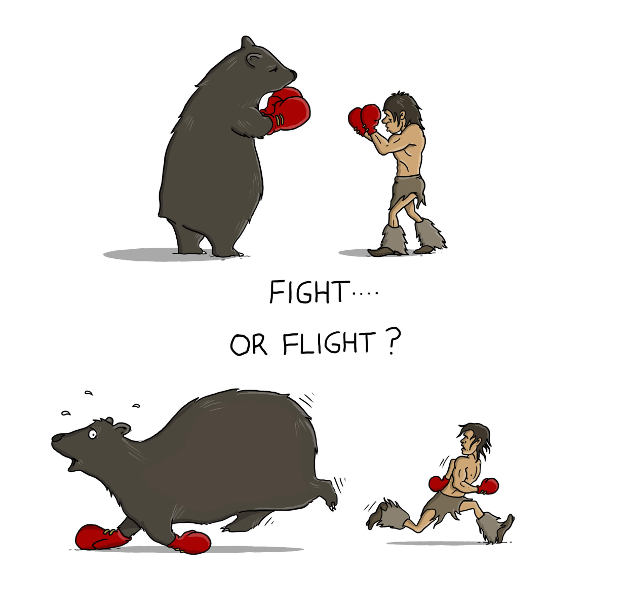 High Quality fight or flight bear? Blank Meme Template