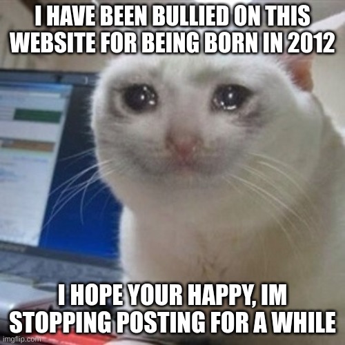 Crying cat | I HAVE BEEN BULLIED ON THIS WEBSITE FOR BEING BORN IN 2012; I HOPE YOUR HAPPY, IM STOPPING POSTING FOR A WHILE | image tagged in crying cat | made w/ Imgflip meme maker