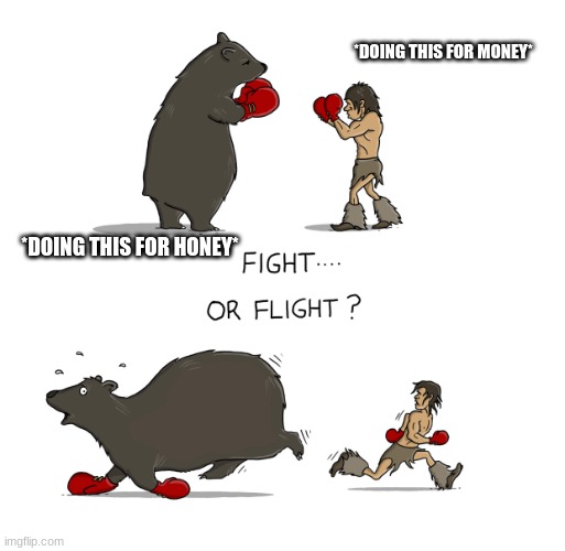 the fight or flight system between bear and mere human | *DOING THIS FOR MONEY*; *DOING THIS FOR HONEY* | image tagged in fight or flight bear | made w/ Imgflip meme maker