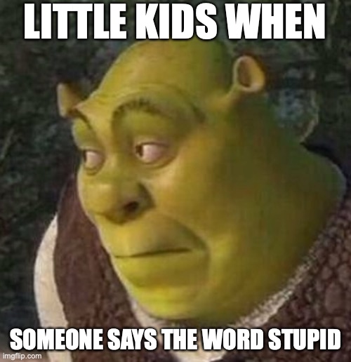 Shrek | LITTLE KIDS WHEN; SOMEONE SAYS THE WORD STUPID | image tagged in shrek | made w/ Imgflip meme maker