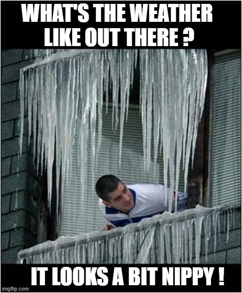 It's Frosty Freezing ! | WHAT'S THE WEATHER 
LIKE OUT THERE ? IT LOOKS A BIT NIPPY ! | image tagged in freezing cold,icicles,stupid question | made w/ Imgflip meme maker