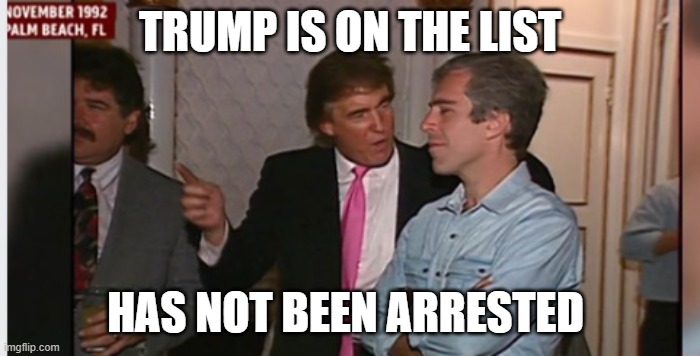 Trump and Epstein | TRUMP IS ON THE LIST HAS NOT BEEN ARRESTED | image tagged in trump and epstein | made w/ Imgflip meme maker