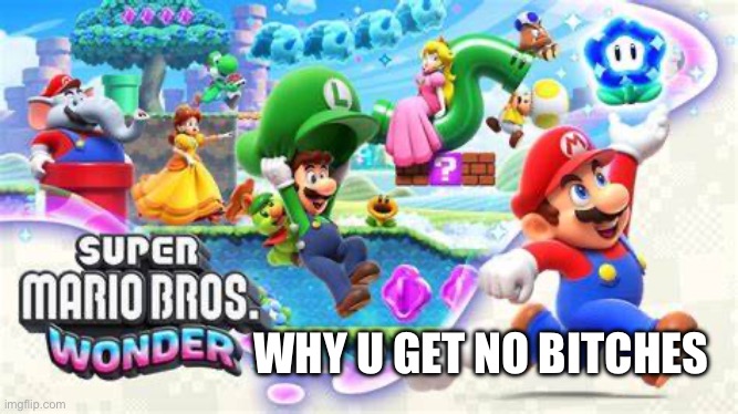 Super Mario Wonder | WHY U GET NO BITCHES | image tagged in super mario wonder | made w/ Imgflip meme maker