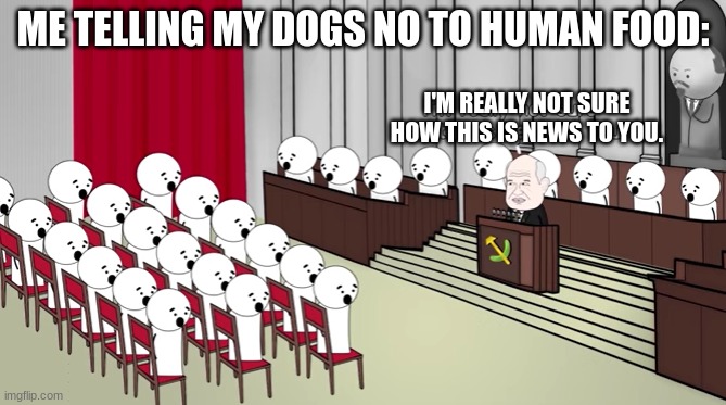 Man's Best Friend Always Has Something to Beg For. | ME TELLING MY DOGS NO TO HUMAN FOOD:; I'M REALLY NOT SURE HOW THIS IS NEWS TO YOU. | image tagged in i'm not really sure how this is news to you | made w/ Imgflip meme maker