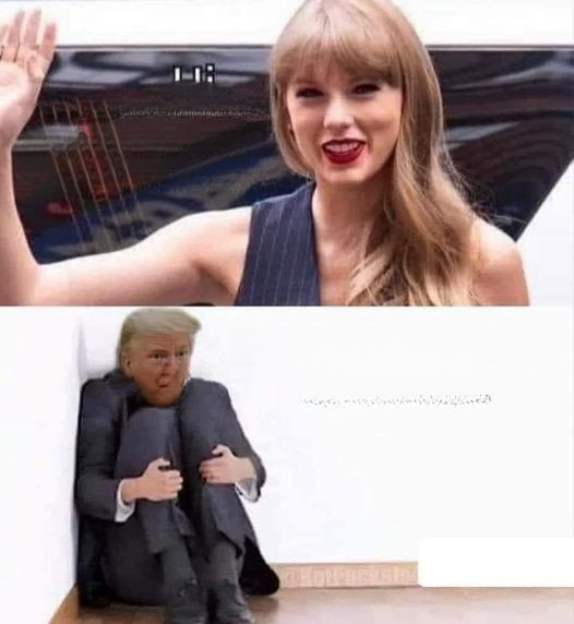 High Quality Taylor Swift mainstream American Donald Trump extreme Unamerican Blank Meme Template