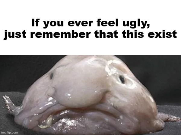 courage for you all | If you ever feel ugly, just remember that this exist | image tagged in memes,courage,blobfish,true | made w/ Imgflip meme maker