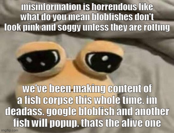 im deadass | misinformation is horrendous like what do you mean blobfishes don't look pink and soggy unless they are rotting; we've been making content of a fish corpse this whole time. im deadass. google blobfish and another fish will popup. thats the alive one | image tagged in pou | made w/ Imgflip meme maker