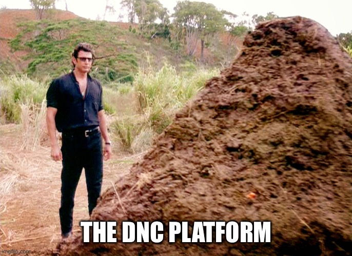 pile of poop | THE DNC PLATFORM | image tagged in pile of poop | made w/ Imgflip meme maker