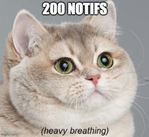 Heavy Breathing Cat | 200 NOTIFS | image tagged in memes,heavy breathing cat | made w/ Imgflip meme maker
