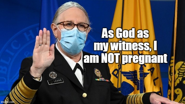 As God as my witness, I am NOT pregnant | made w/ Imgflip meme maker
