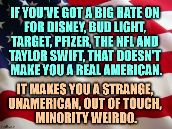 Boycott boycotts! | IF YOU'VE GOT A BIG HATE ON 
FOR DISNEY, BUD LIGHT, 
TARGET, PFIZER, THE NFL AND 
TAYLOR SWIFT, THAT DOESN'T 
MAKE YOU A REAL AMERICAN. IT MAKES YOU A STRANGE, 
UNAMERICAN, OUT OF TOUCH, 
MINORITY WEIRDO. | image tagged in american flag,disney,bud light,target,pfizer,taylor swift | made w/ Imgflip meme maker