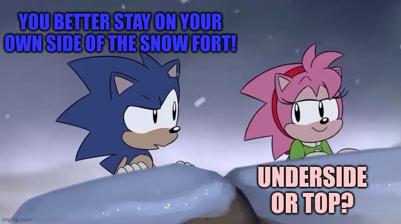 Stop it. Get some help | YOU BETTER STAY ON YOUR OWN SIDE OF THE SNOW FORT! UNDERSIDE OR TOP? | image tagged in sonic and amy christmas special,sonic x amy,sonic the hedgehog,amy rose | made w/ Imgflip meme maker
