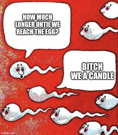 Sperm talk | HOW MUCH LONGER UNTIL WE REACH THE EGG? BITCH WE A CANDLE | image tagged in sperm talk | made w/ Imgflip meme maker