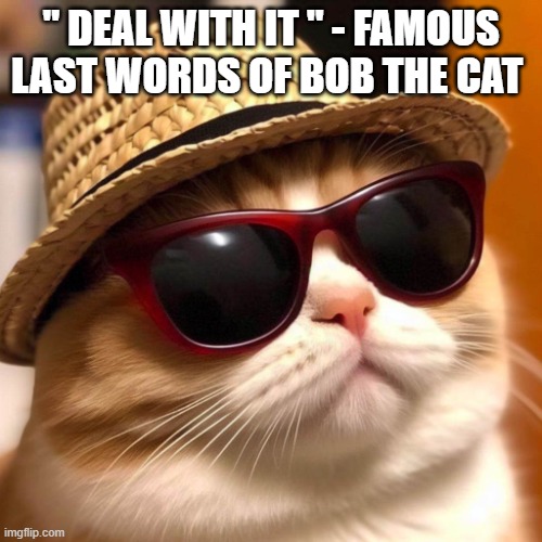 Bob The cat | " DEAL WITH IT " - FAMOUS LAST WORDS OF BOB THE CAT | image tagged in the badman | made w/ Imgflip meme maker