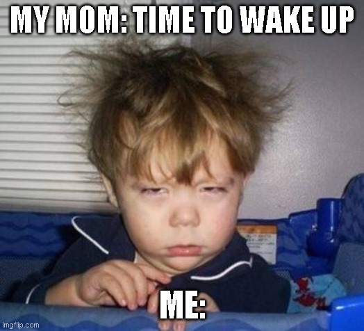 wake up | MY MOM: TIME TO WAKE UP; ME: | image tagged in wake up | made w/ Imgflip meme maker