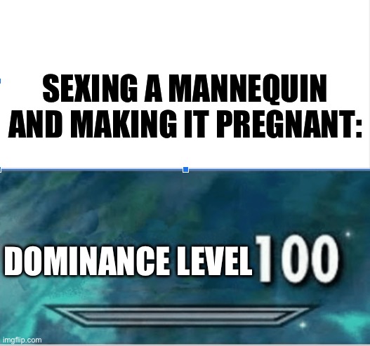 Skyrim Skill level | SEXING A MANNEQUIN AND MAKING IT PREGNANT:; DOMINANCE LEVEL | image tagged in skyrim skill level | made w/ Imgflip meme maker