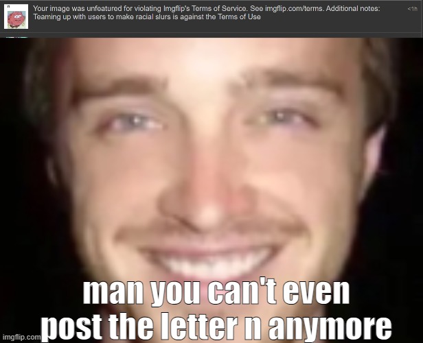 man you can't even post the letter n anymore | image tagged in jesse painman | made w/ Imgflip meme maker