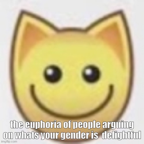 euphoria of confusion | the euphoria of people arguing on whats your gender is  delightful | image tagged in aj | made w/ Imgflip meme maker