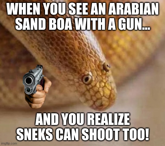 Arabian sand boa | WHEN YOU SEE AN ARABIAN SAND BOA WITH A GUN... AND YOU REALIZE SNEKS CAN SHOOT TOO! | image tagged in arabian sand boa | made w/ Imgflip meme maker