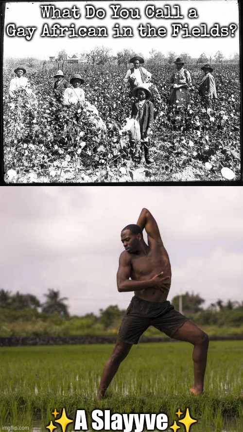 What Do You Call a  Gay African in the Fields? ✨A Slayyve✨ | made w/ Imgflip meme maker