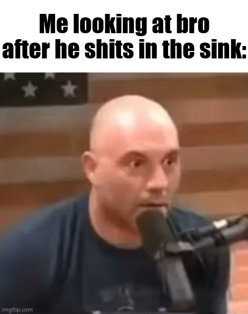 Joe Rogan Staring | Me looking at bro after he shits in the sink: | image tagged in joe rogan staring | made w/ Imgflip meme maker