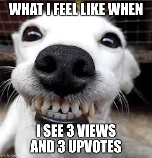 happy | WHAT I FEEL LIKE WHEN; I SEE 3 VIEWS AND 3 UPVOTES | image tagged in dog,happy,smiling | made w/ Imgflip meme maker