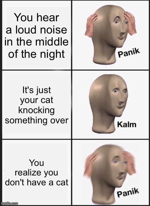 Panik Kalm Panik Meme | You hear a loud noise in the middle of the night; It's just your cat knocking something over; You realize you don't have a cat | image tagged in memes,panik kalm panik | made w/ Imgflip meme maker