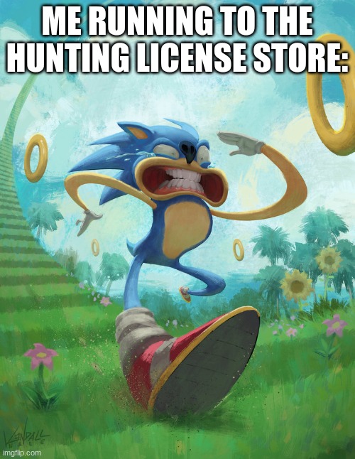 Run sonic | ME RUNNING TO THE HUNTING LICENSE STORE: | image tagged in run sonic | made w/ Imgflip meme maker