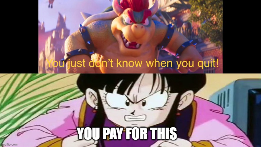 bowser telling chi chi to quit | YOU PAY FOR THIS | image tagged in who's bowser telling who don't know when to quit,dragon ball z,super mario,nintendo,anime | made w/ Imgflip meme maker
