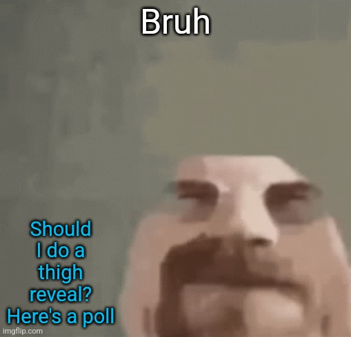 https://take.quiz-maker.com/poll5097151x06404DEF-154 | Bruh; Should I do a thigh reveal? Here's a poll | image tagged in heisenburger | made w/ Imgflip meme maker